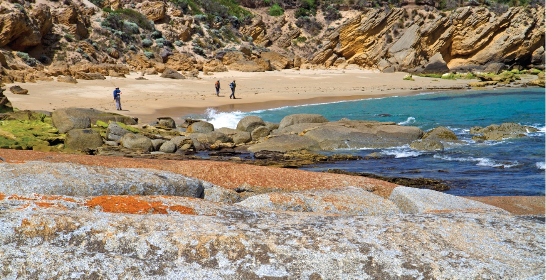 Spectacular coastal walking on Flinders Island | <i>Andrew Bain</i>