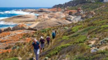 Spectacular coastal walking on Flinders Island