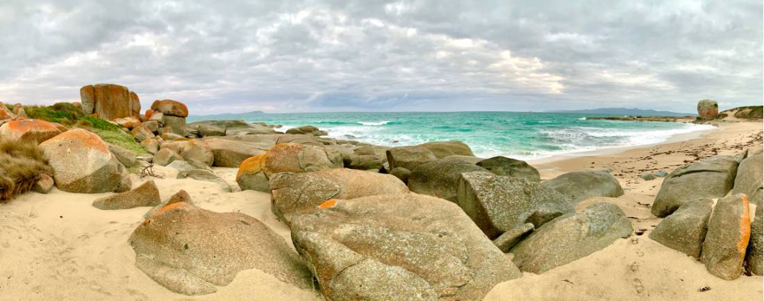 Granite boulders make up Flinders Island's dramatic coastline |  <i>Michael Buggy</i>