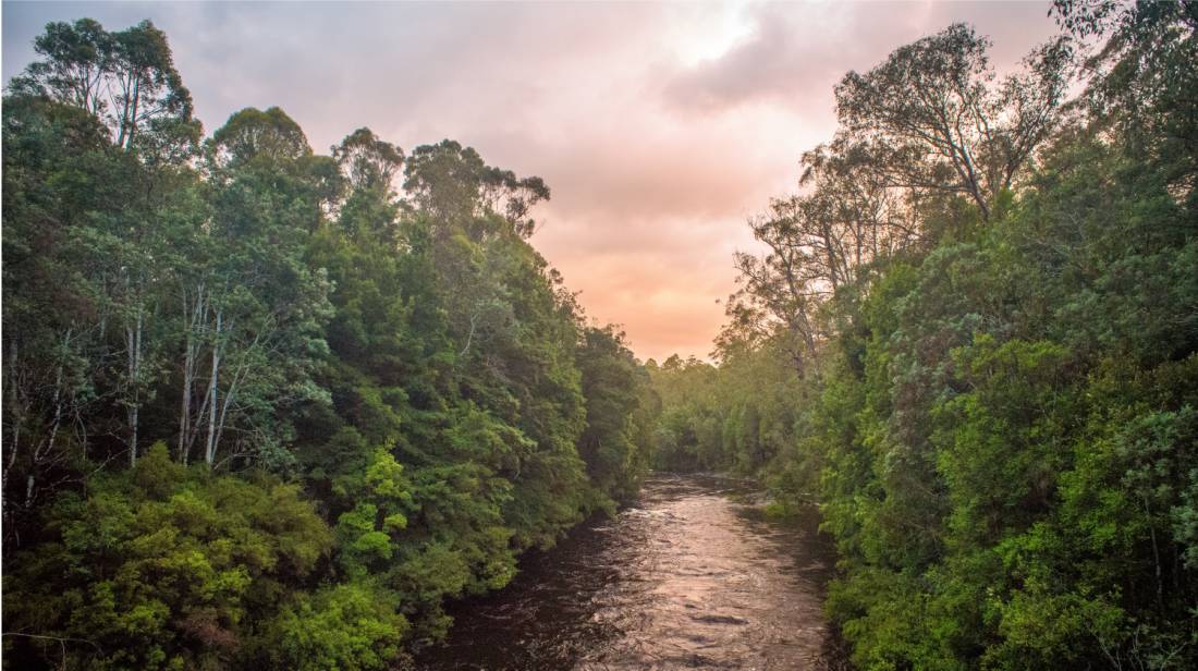 The Pristine Tasmanian Wilderness World Heritage Area. |  <i>Glenn Walker</i>