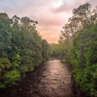 The Pristine Tasmanian Wilderness World Heritage Area. | Glenn Walker