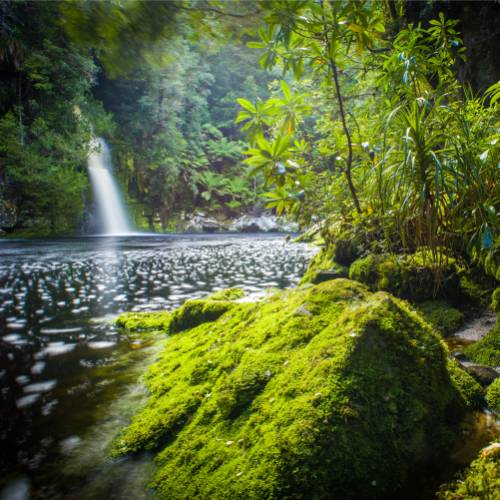 Tranquil scenes on the Franklin River