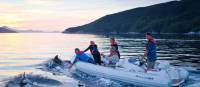 Guests in the tender are joined by dolphins at sunset | Mark Daffey