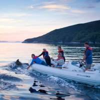 Guests in the tender are joined by dolphins at sunset | Mark Daffey