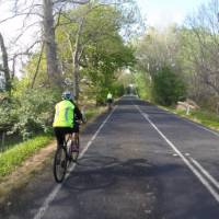 Cycling through the picturesque Tasmanian countryside | Brad Atwal