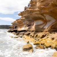 Iconic East Coast, Bike, Hike, Kayak | Matthew Griffiths