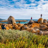 Hiking the spectacular Flinders Island coastline | Lachlan Gardiner