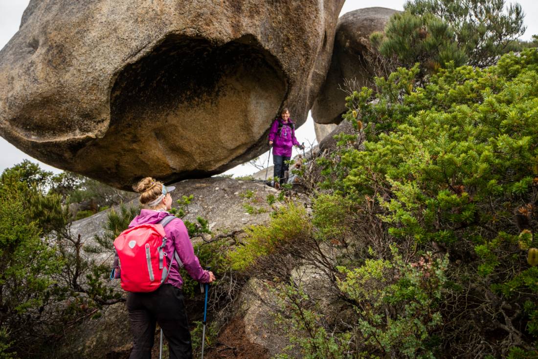 Explore the magic of Flinders Island on a walking tour |  <i>Lachlan Gardiner</i>