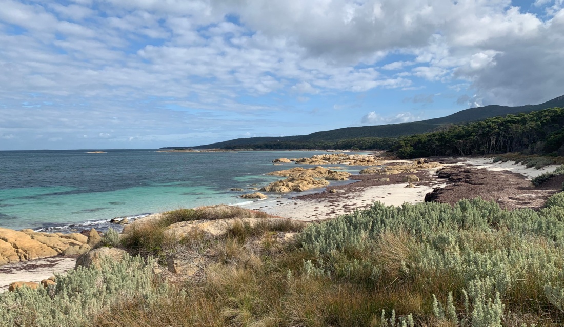 Our exclusive Eco-Comfort Camp on Flinders Island provides nature at your doorstep