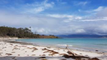 MicrosoftTeams-image (6),Shelby Pinkerton Enjoy a walk along Maria Island's Four Mile Beach