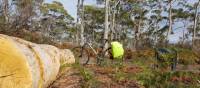 We supply panniers for self guided cycling travellers | Shelby Pinkerton