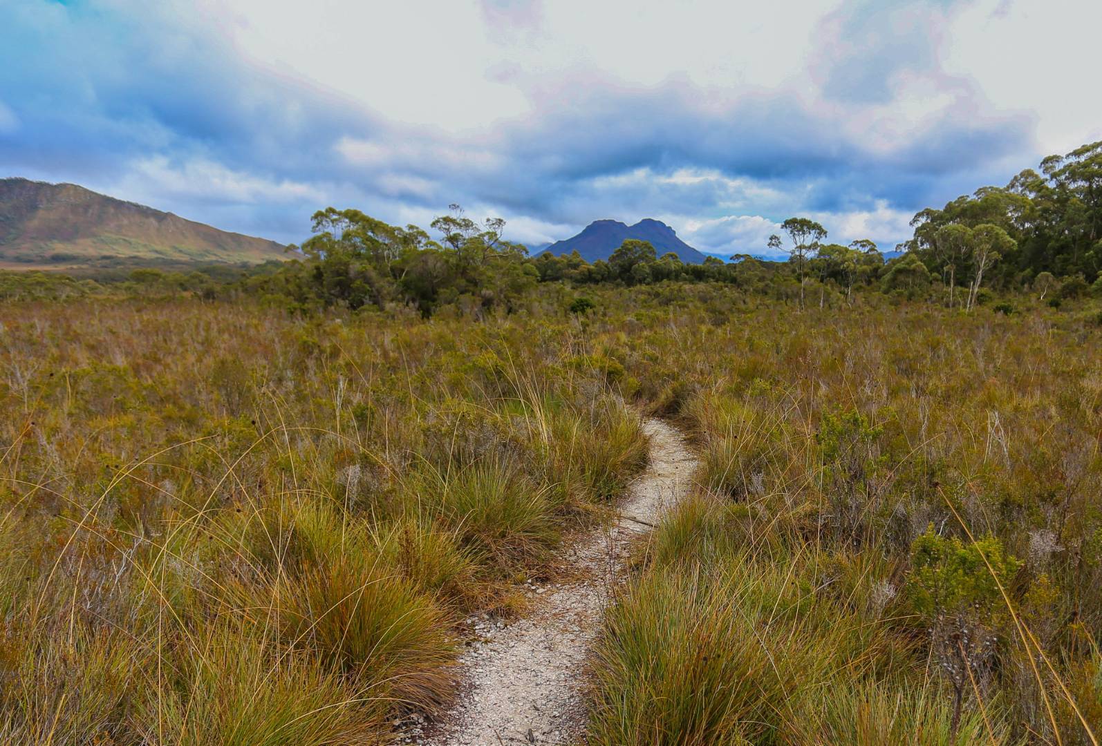 Viewing Mount Solitary from the Port Davey Track |  <i>Tourism Australia & Graham Freeman</i>