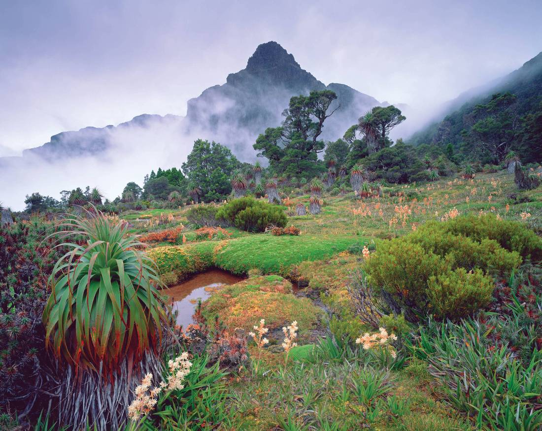 Mount Anne surrounded by mist |  <i>Tourism Tasmania & Popp Hackner Photography</i>
