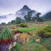 Mount Anne surrounded by mist | Tourism Tasmania & Popp Hackner Photography
