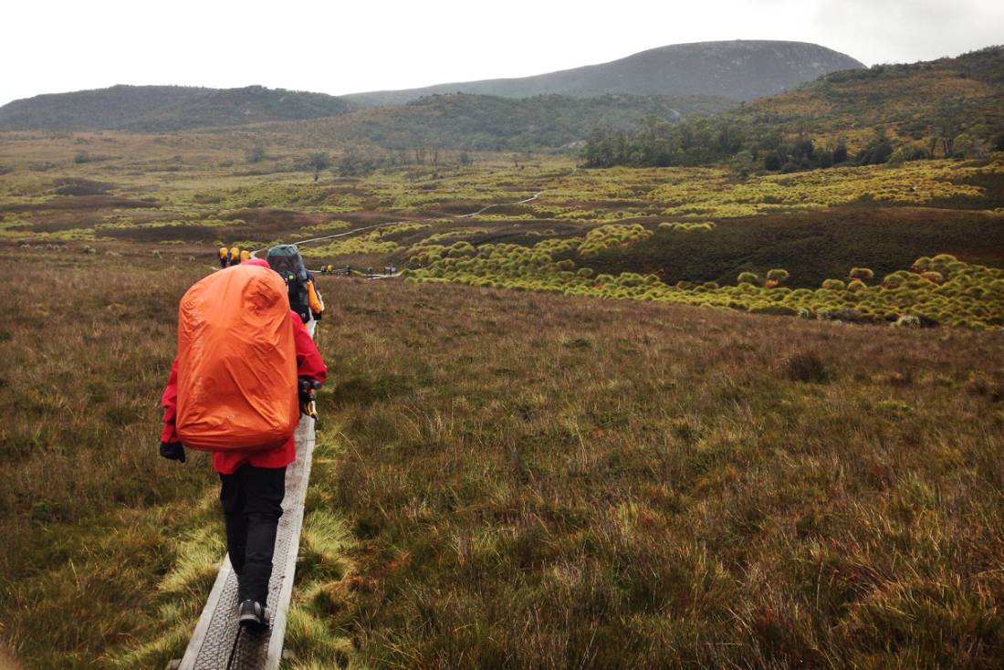 Trekking along the Overland Track |  <i>Larissa Duncombe</i>