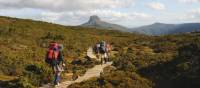 Walking the Overland Track Tasmania | Gary Hayes