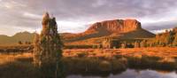 Mount Pellion West, Overland Track | Peter Walton