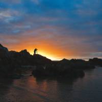 Photographic opportunities abound in Tasmania's spectacular Tarkine region | Peter Walton