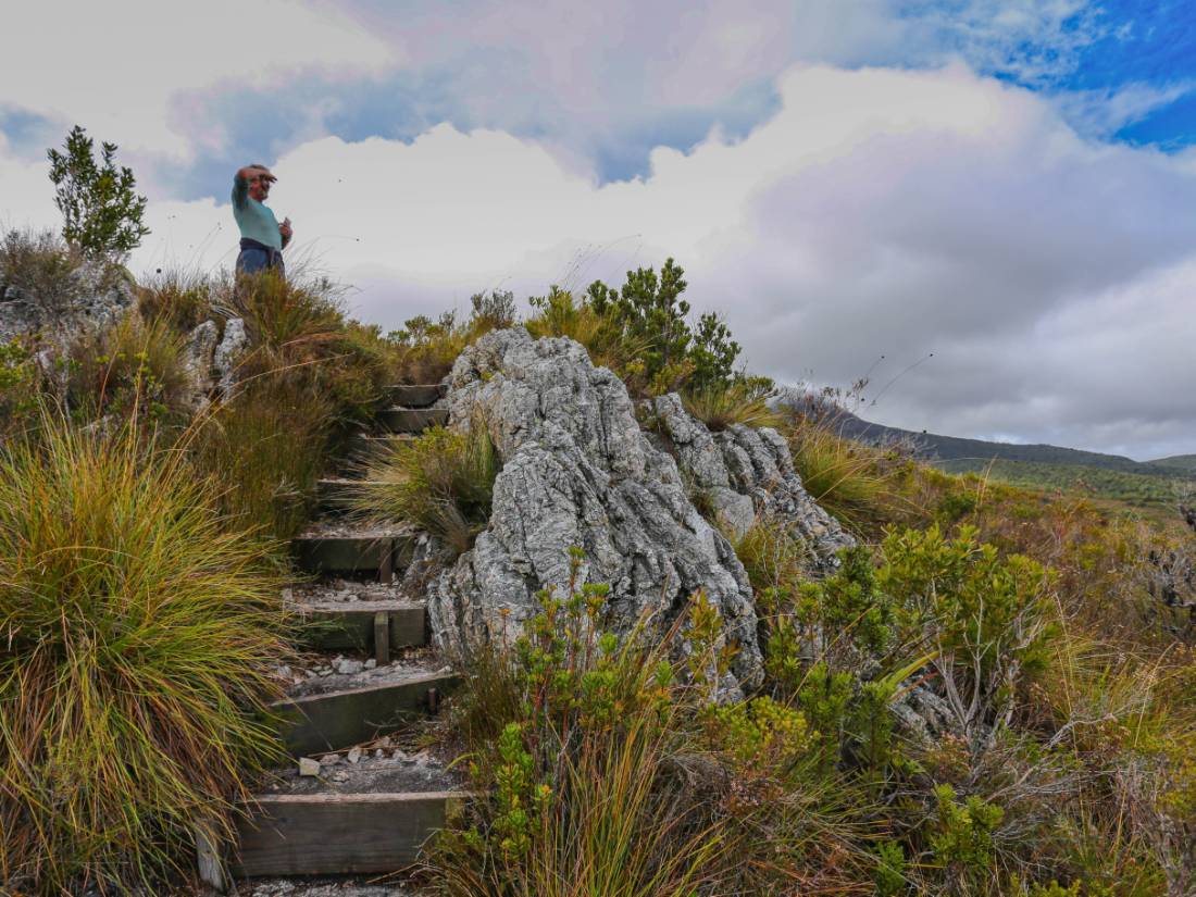 Trek the remote Port Davey Track |  <i>Tourism Australia & Graham Freeman</i>