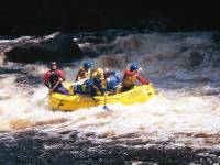 Rafting Franklin River |  <i>Louise Southerden</i>