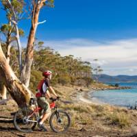 Cycling on Maria Island | Andrew Bain