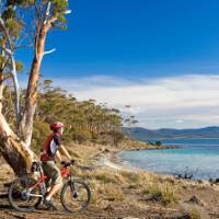 Cycling on Maria Island | Andrew Bain