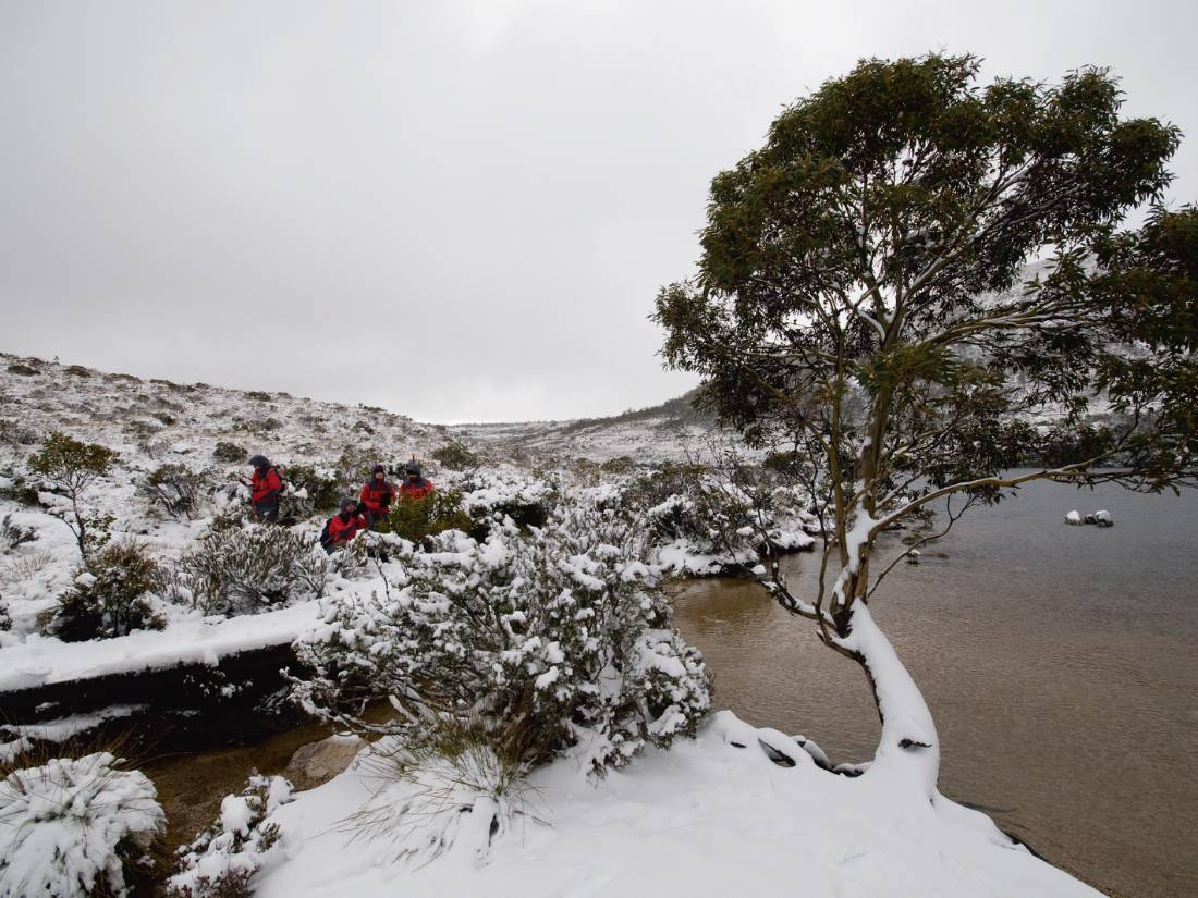 Walking in Cradle Mountain |  <i>Aran Price</i>