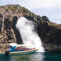 Exploring this rugged coast by boat reveals a stunning wilderness experience