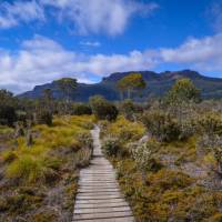 The Overland Track, Tasmania's most famous walk | Mark Whitelock