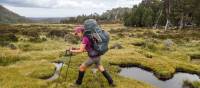 Exploring the spectacular Walls of Jerusalem National Park | Caro Ryan