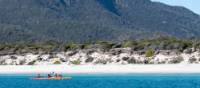 Kayak beneath the Hazards in Freycinet | David Sinclair