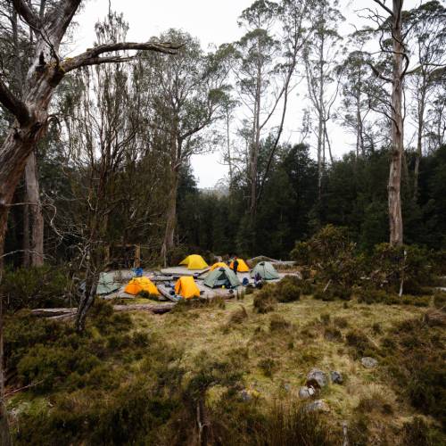 Overland Track Guided Walking Tour Trek Tasmania's Overland Track