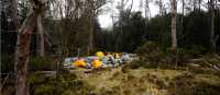 Every campsite is secluded on the Overland Track | Matt Horspool