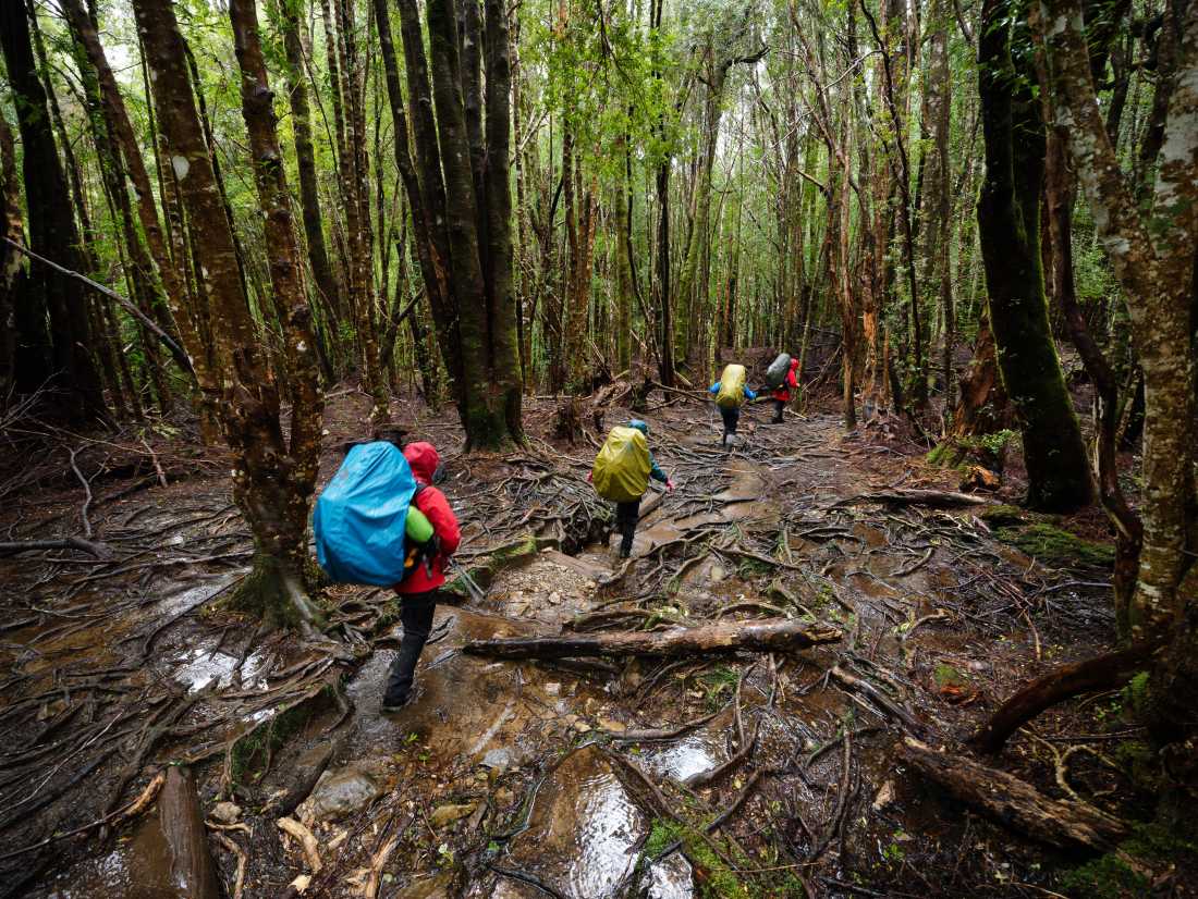 Trekking the legendary Overland Track, Tasmania | Matt Horspool