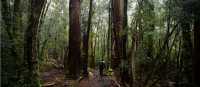 Soaking in the beauty of the Overland Track | Matt Horspool