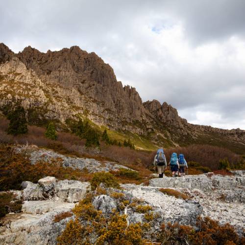 Overland Track Cradle Mountain