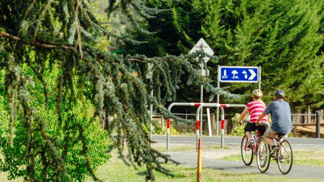 Cyclists near Bright