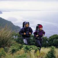 Following the Great Ocean Walk to Milanesia