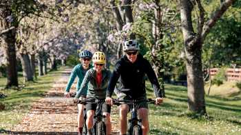 Murray to Mountains Rail Trail
 | Ride High Country