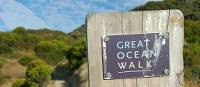 Experience the breathtaking coastal scenery on the Twelve Apostles Walk | Linda Murden