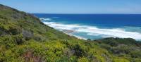 Exploring the stunning coastal scenery on the Twelve Apostles Walk | Linda Murden