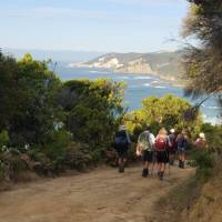 Experience the breathtaking coastal scenery on the Twelve Apostles Walk | Linda Murden