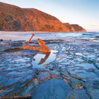 Wreck Beach on the Great Ocean Walk | Tourism Victoria