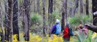 Walkers on the Bibbulmun Track