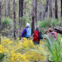 Walkers on the Bibbulmun Track