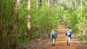 14083826432_58d7da57b6_o,Inspiration Outdoors Walkers on the Bibbulmun Track