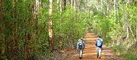 Walkers on the Bibbulmun Track