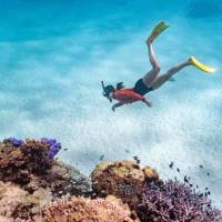 Snorkeling Ningaloo Reef