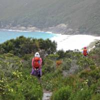 Explore the stunning coastline between Albany to Denmark on the Bibbulmun Track