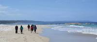 Stunning beach walk on the Bibbulmun Track Albany to Denmark section